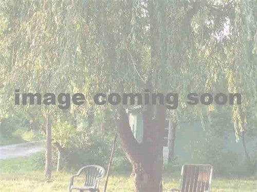 WILD WILLOW - Golden/Silver/Pink/Black