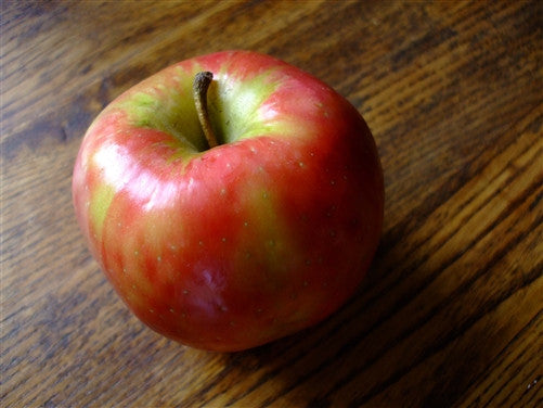 APPLE HONEYCRISP