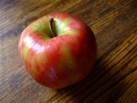 APPLE HONEYCRISP