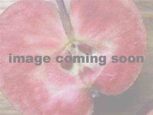 Pink Pearl Apple