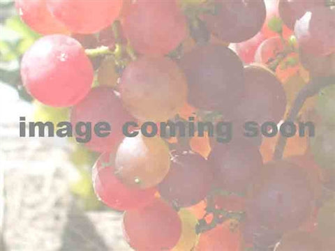 Tuscany Red Grape