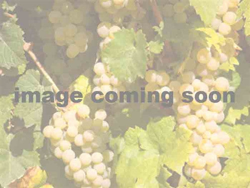 Muscat de Quebec Grape