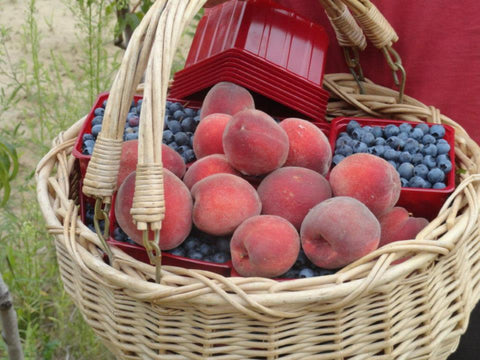 A Best - TIFFANY ROSE Peach