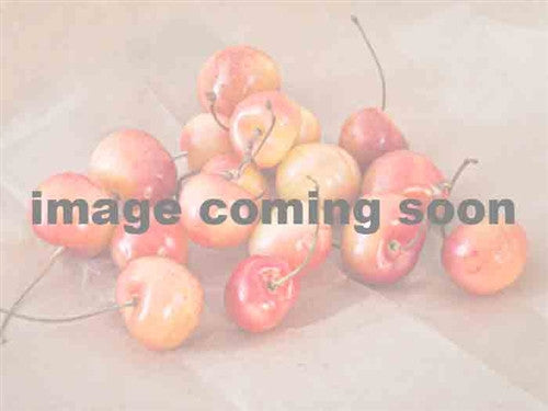 SWEET CHERRY - YELLOW