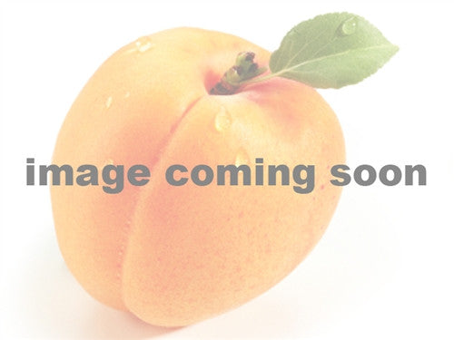 APRICOT X ALMOND or ALPRICOT