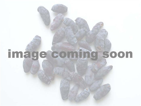 Haskap - BOREAL BEAST + Aurora