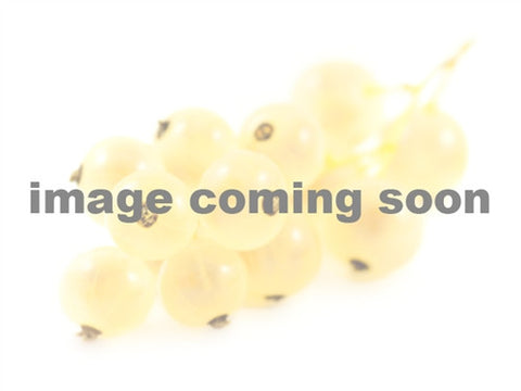 Montreal Dwarf Mulberry