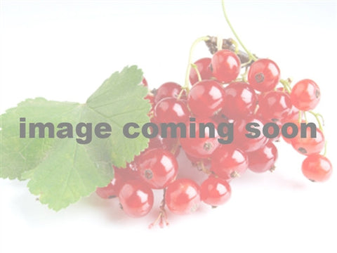 CURRANT - RED