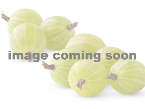 Gooseberry - Black Velvet