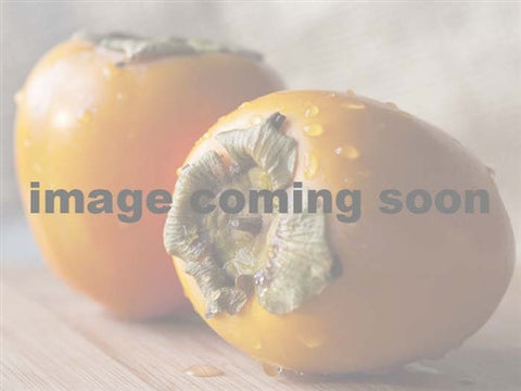 ZONE 3 Hardy TAYLOR PERSIMMON X3 - SPECIAL
