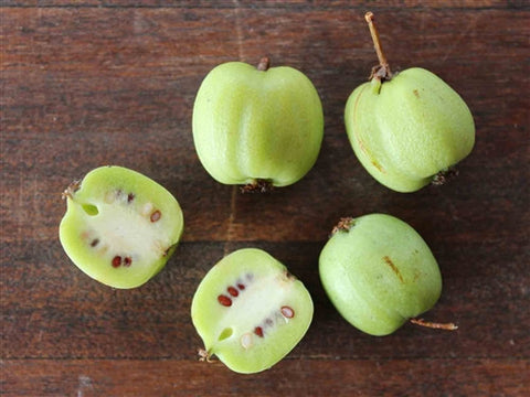 KIWI SPECIAL: Arguta + Kolomikta