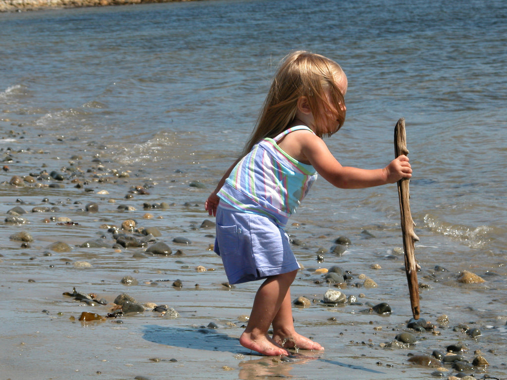 A TAYLOR FARM FRUIT DAY---June 6, 2026