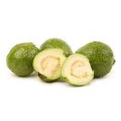 GUAVA or PAPAYA