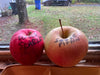 APPLES - NEW CANADIAN DISCOVERIES