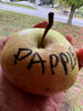A FARM VISIT - OCT 11, 2025