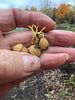 A FARM VISIT - OCT 11, 2025