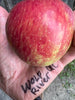 APPLES - NEW CANADIAN DISCOVERIES
