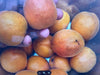 Apricot x Plum PRECOCIOUS APRIUM
