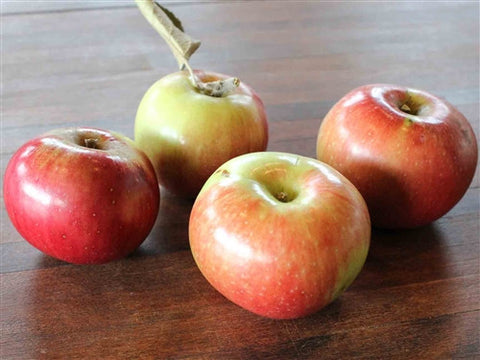 APPLE  Organic Freedom/Liberty