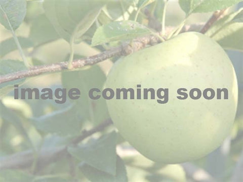Apple -Granny Smith