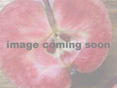 Pink Pearl Apple