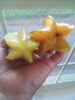 GIFT A FRUIT Tree