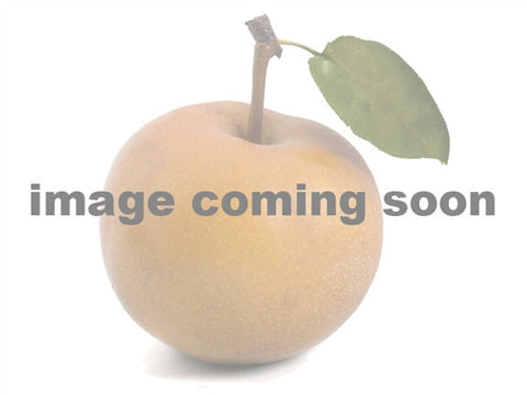 Pear - Combo 4 in 1