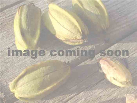 5x NUT TREE SPECIAL - 2025