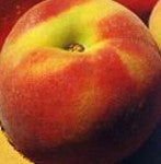 PEACH - RED LEAF