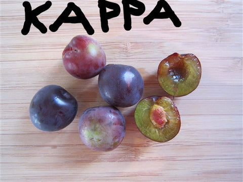 CHUM - KAPPA