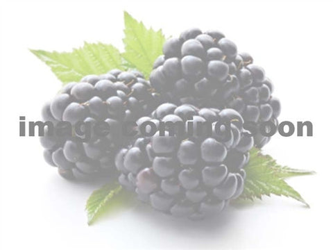 BLACKBERRY -  EBONY HARDY