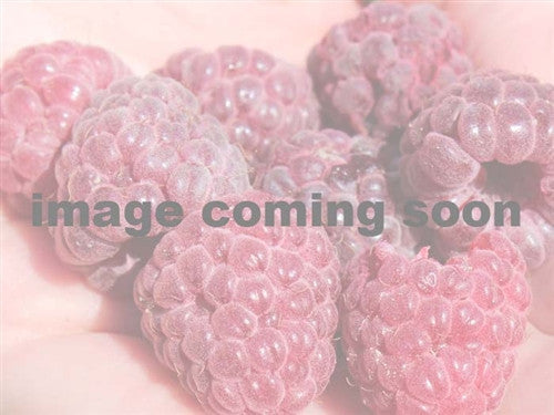 Raspberry - Purple Brandywine or Purple Royalty