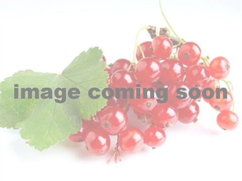 CURRANT - RED