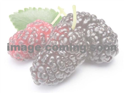 ORCHARD Mix