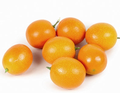 CITRUS - and other Exotic Tropicals