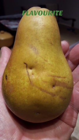 A Best Euro Pear -  FLAVOURITE