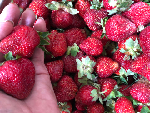 STRAWBERRY - Flavour Giant
