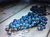 Grape Vine Special 2024